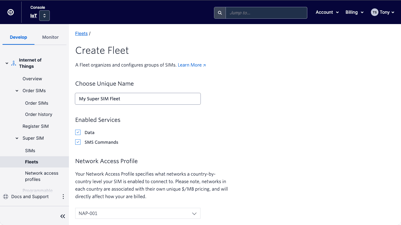 Give the Fleet a unique, memorable name.