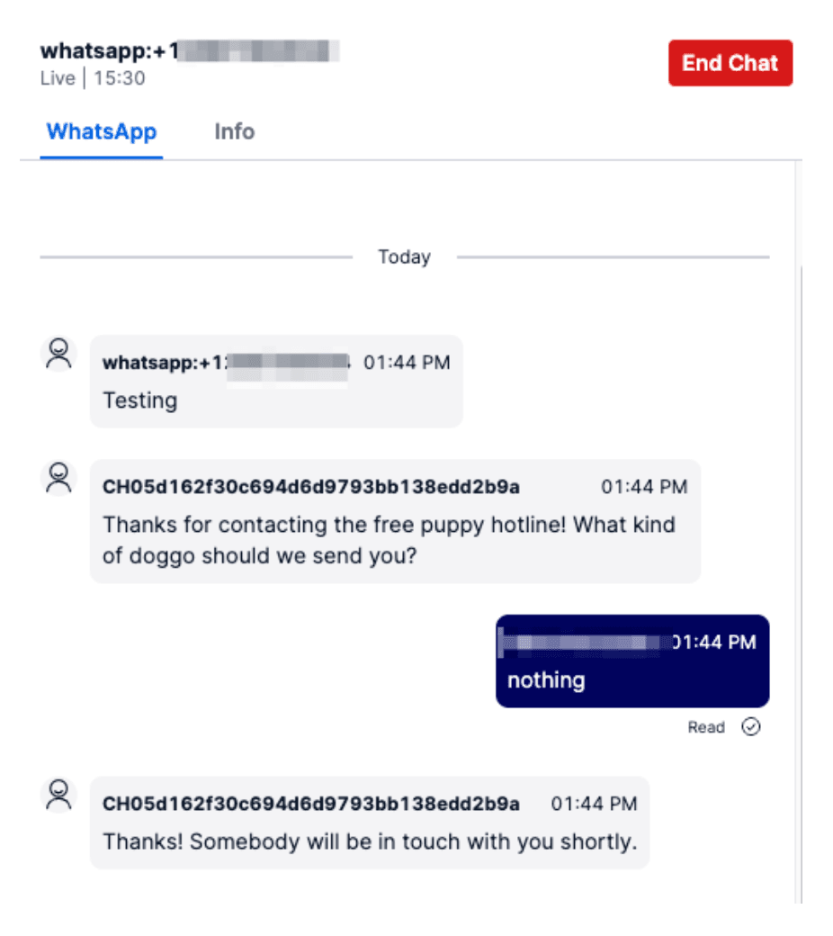 WhatsApp chat in Flex showing a conversation about a free puppy hotline.