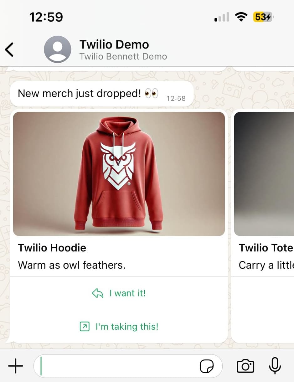 Twilio message preview showing a red hoodie with owl logo and text 'Warm as owl feathers.'.