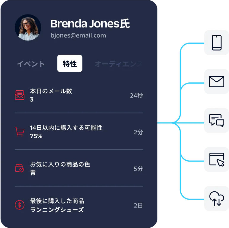 Dashboard displaying user traits such as email activity, purchase propensity, preferences and last product bought.