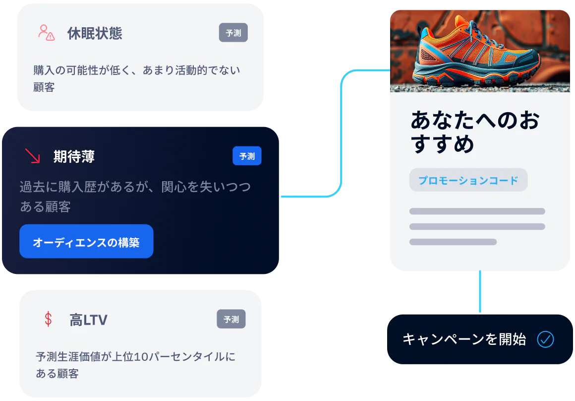 Image showing dormant, long shots, and high LTV customer segments for a targeted marketing campaign.
