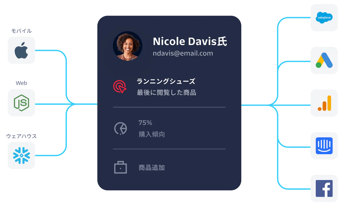 Visualization of customer data from Nicole Davis integrated with platforms like Salesforce and Google Analytics.