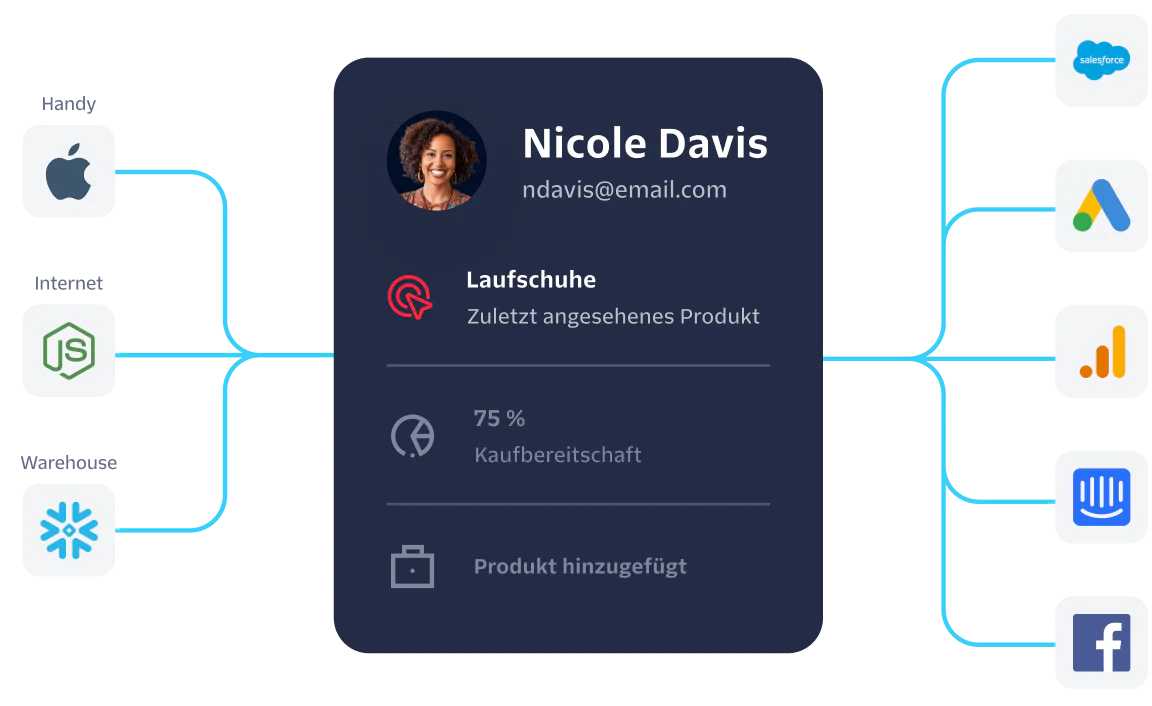 Visualization of customer data from Nicole Davis integrated with platforms like Salesforce and Google Analytics.