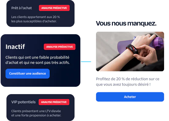 Segmented audience groups with labels Ready to buy, Dormant, and Potential VIPs, alongside a promotion.