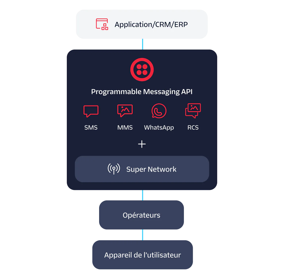 Diagram illustrating integration of CRM/ERP applications with carriers through a Programmable Messaging API.