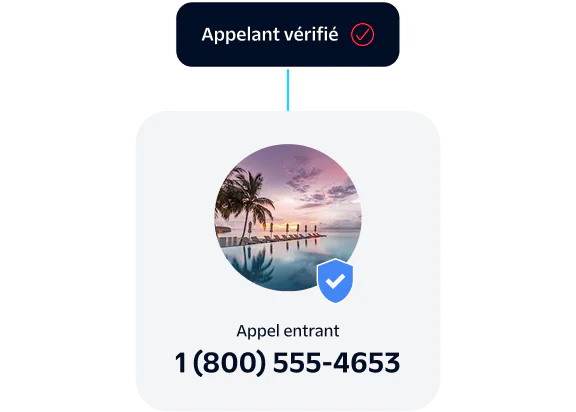 Verified incoming call from 1(800)555-4653 with a background image of palm trees and a swimming pool.