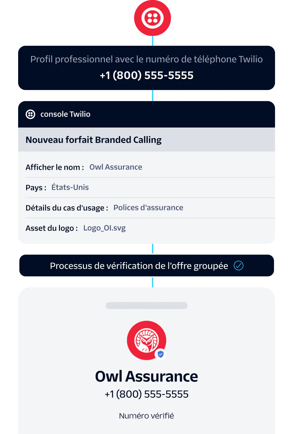Illustration showing the verification process of Owl Insurance business profile with Twilio phone number +1 (800) 555-5555.