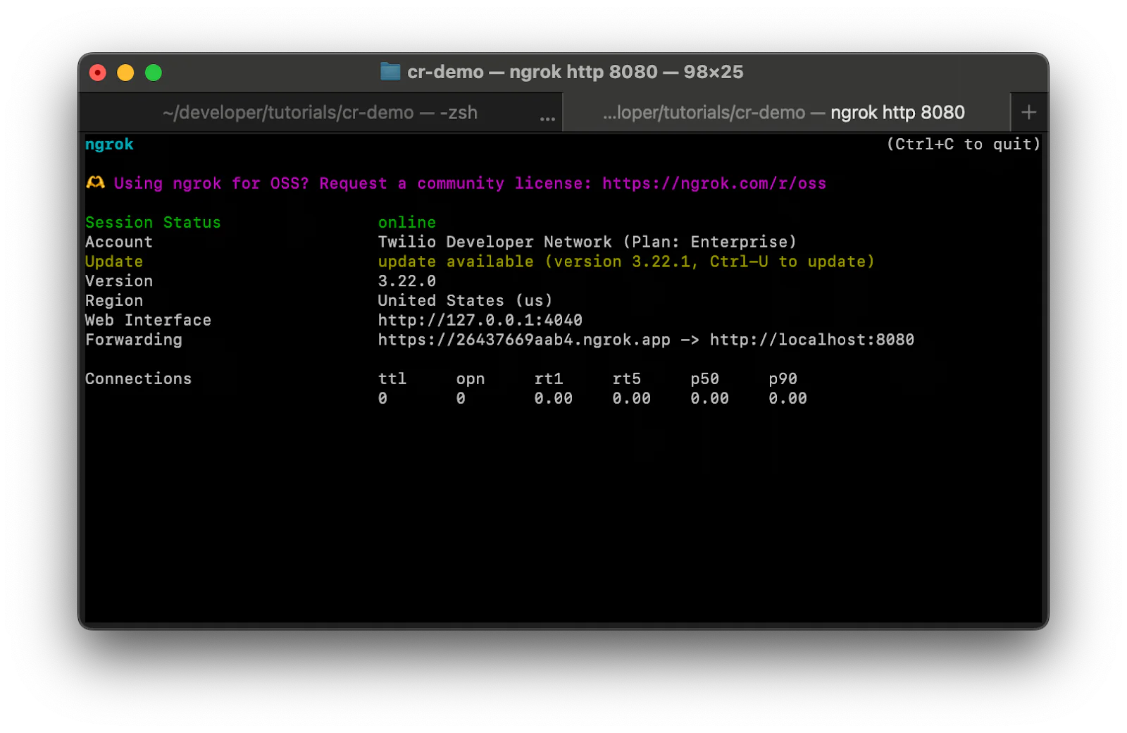 Terminal screenshot showing ngrok tunnel with Forwarding URL