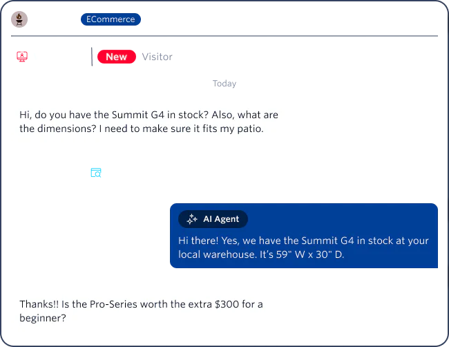 Web chat showing a customer inquiring about the dimensions of the Summit G4 grill and an AI assistant responding.