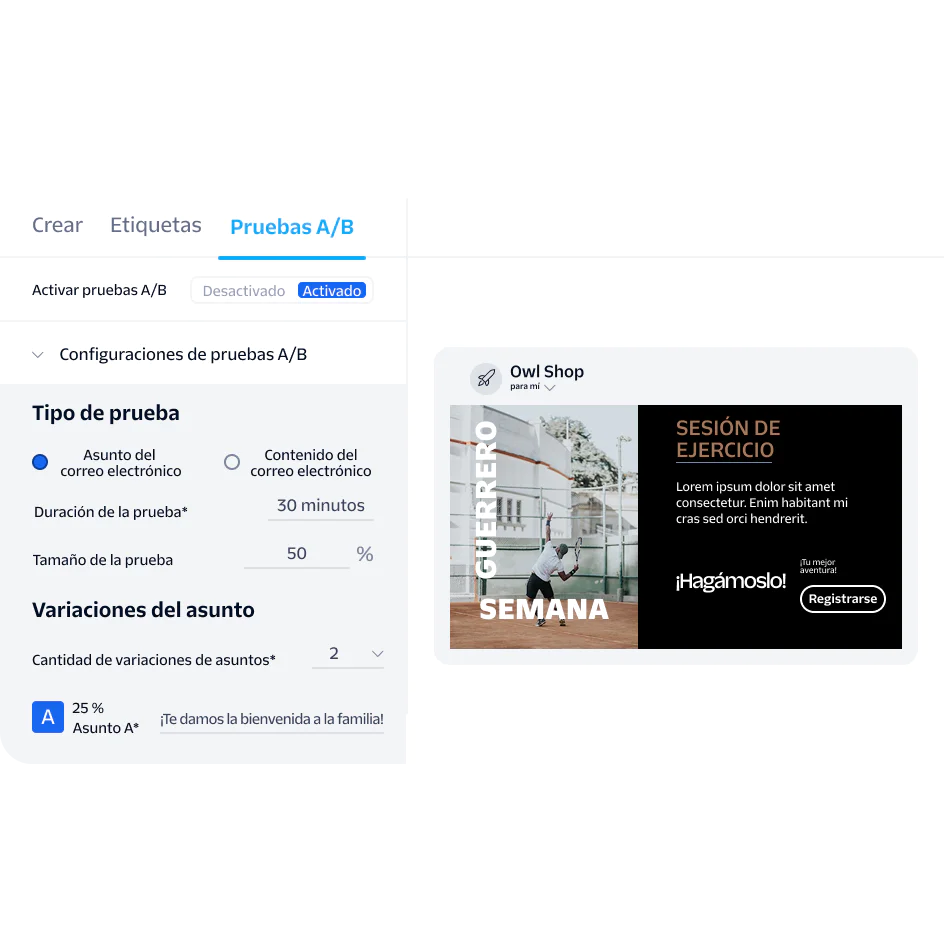 Marketing dashboard displaying A/B testing settings and email content preview for Owl Shop.
