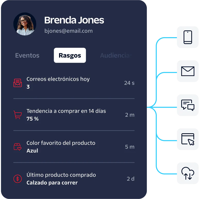 Dashboard displaying user traits such as email activity, purchase propensity, preferences and last product bought.