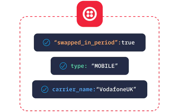 Screen displaying mobile network information with swapped in period status, type, and carrier name.