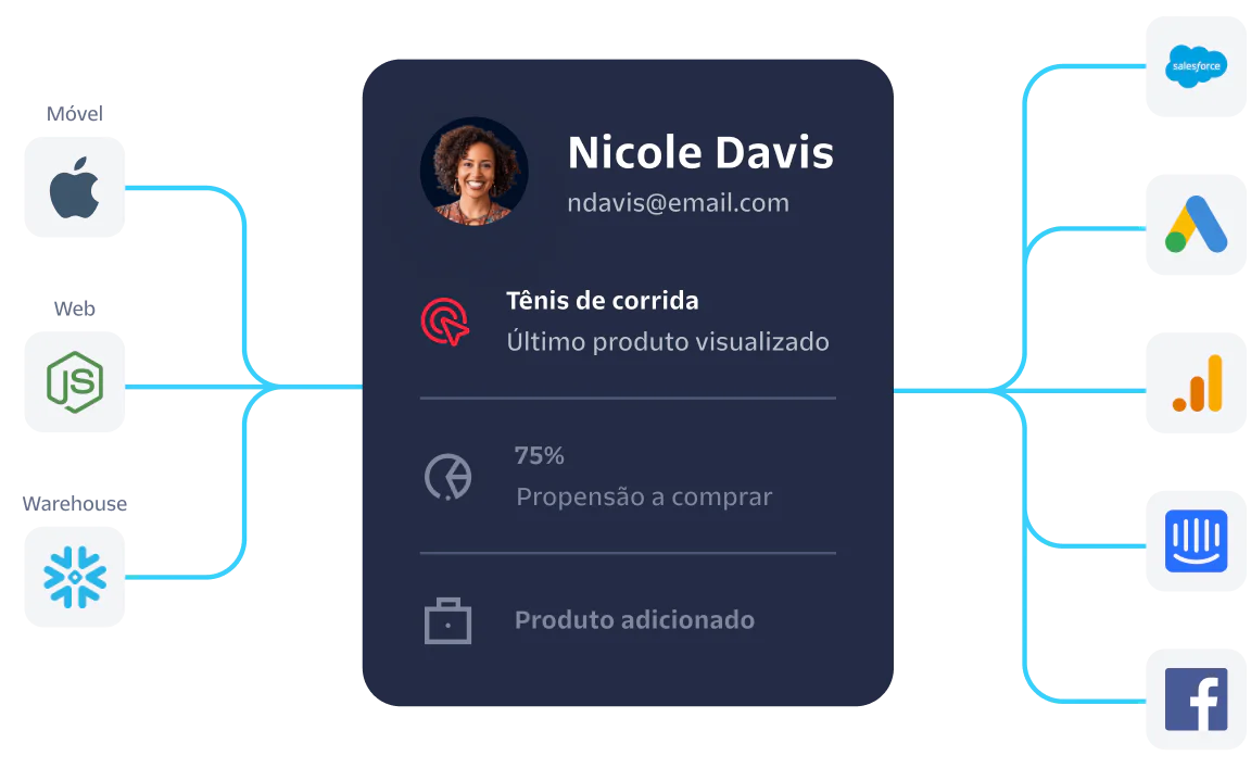 Visualization of customer data from Nicole Davis integrated with platforms like Salesforce and Google Analytics.